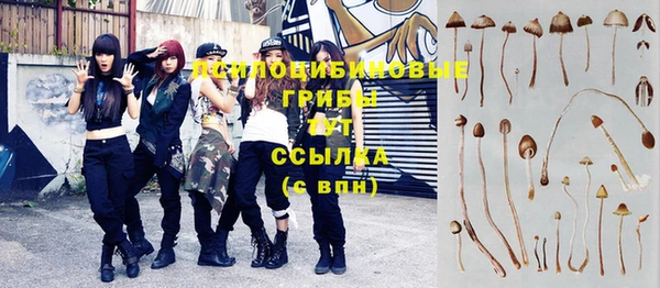 jwh Алзамай