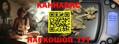 стаф Гай