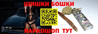 стаф Гай