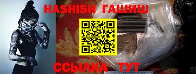 стаф Гай