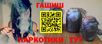 стаф Гай