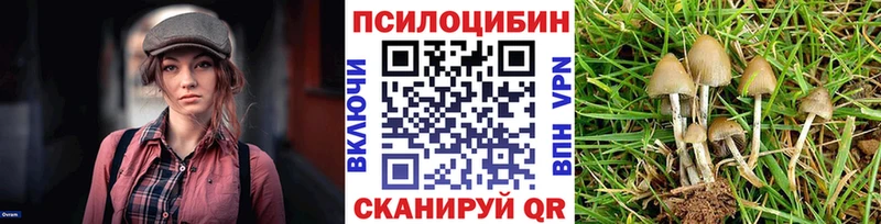 Галлюциногенные грибы GOLDEN TEACHER  Тавда 