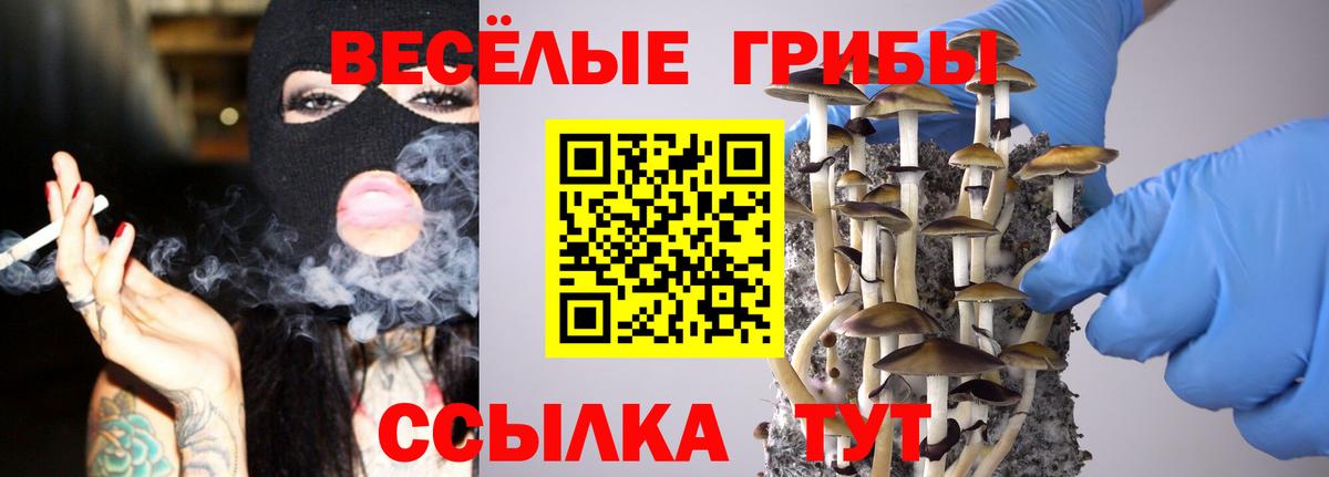 Псилоцибиновые грибы GOLDEN TEACHER  Псилоцибиновые грибы мицелий  Вход с VPN  Тавда 
